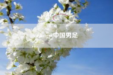 chatgpt中国男足