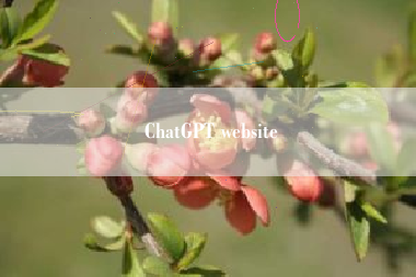 ChatGPT website