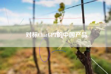 对标ChatGPT的中国产品