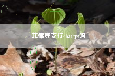 菲律宾支持chatgpt吗