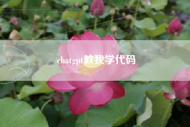 chatgpt教我学代码