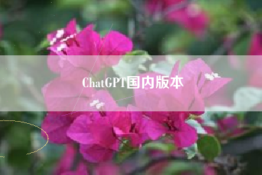 ChatGPT国内版本