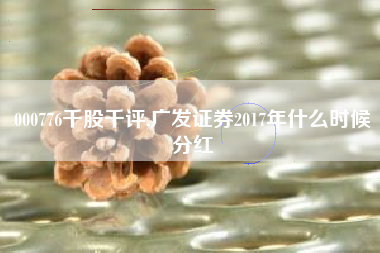 000776千股千评,广发证券2017年什么时候分红