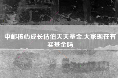 中邮核心成长估值天天基金,大家现在有买基金吗