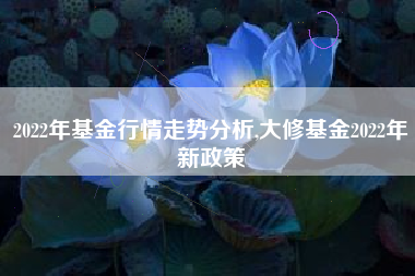 2022年基金行情走势分析,大修基金2022年新政策