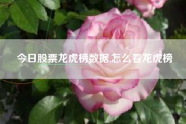 今日股票龙虎榜数据,怎么看龙虎榜