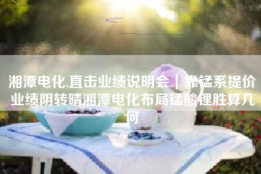 湘潭电化,直击业绩说明会｜靠锰系提价业绩阴转晴湘潭电化布局锰酸锂胜算几何