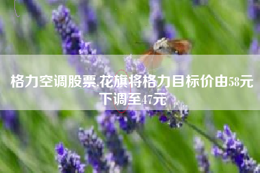 格力空调股票,花旗将格力目标价由58元下调至47元