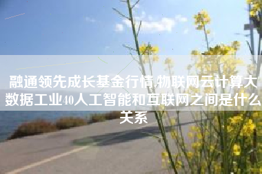 融通领先成长基金行情,物联网云计算大数据工业40人工智能和互联网之间是什么关系