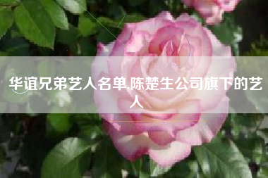华谊兄弟艺人名单,陈楚生公司旗下的艺人