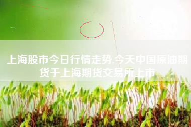 上海股市今日行情走势,今天中国原油期货于上海期货交易所上市
