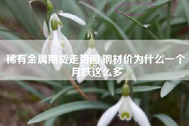 稀有金属期货走势图,钢材价为什么一个月跌这么多