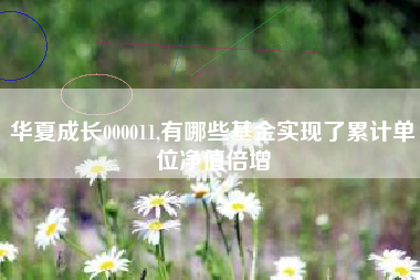 华夏成长000011,有哪些基金实现了累计单位净值倍增