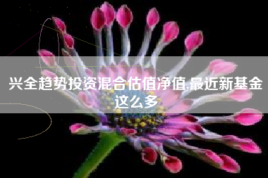兴全趋势投资混合估值净值,最近新基金这么多