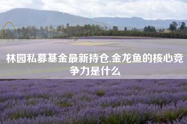 林园私募基金最新持仓,金龙鱼的核心竞争力是什么