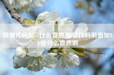 股票代码加xd什么意思,股票代码前面加XD是什么意思啊