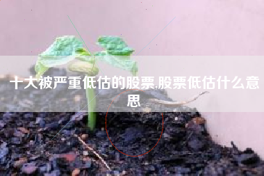 十大被严重低估的股票,股票低估什么意思