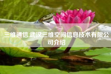 三维通信,武汉三维空间信息技术有限公司介绍