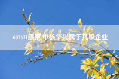 601611股票,中核华兴属于几级企业