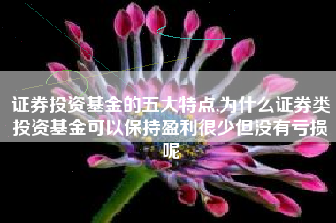 证券投资基金的五大特点,为什么证券类投资基金可以保持盈利很少但没有亏损呢