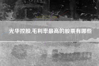 光华控股,毛利率最高的股票有哪些