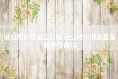 诺安成长基金怎么样,诺安成长混合基金是半导体吗