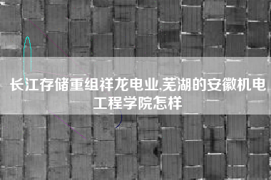 长江存储重组祥龙电业,芜湖的安徽机电工程学院怎样