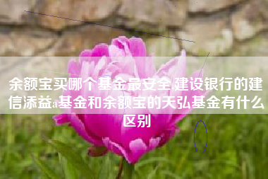 余额宝买哪个基金最安全,建设银行的建信添益a基金和余额宝的天弘基金有什么区别