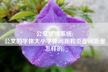 公文管理系统(
公文的字体大小字体间距和页面间距是怎样的) 公文管理系统(
公文的字体大小字体间距和页面间距是怎样的)