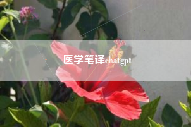 医学笔译chatgpt