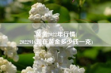 黄金2022年行情(
2022916现在黄金多少钱一克) 黄金2022年行情(
2022916现在黄金多少钱一克)