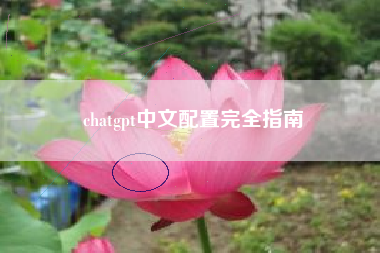 chatgpt中文配置完全指南