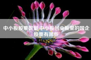 中小板股票数量,中小板创业板里的国企股票有哪些