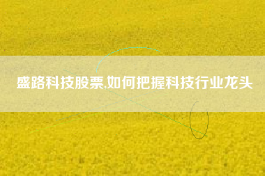 盛路科技股票,如何把握科技行业龙头