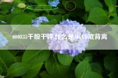 000835千股千评,什么是MACD底背离