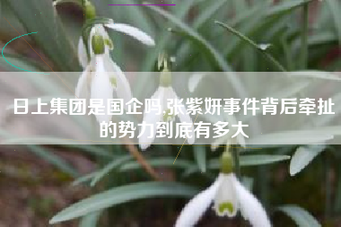 日上集团是国企吗,张紫妍事件背后牵扯的势力到底有多大