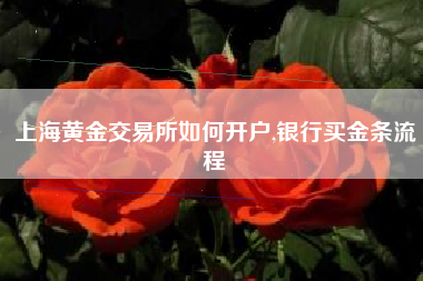 上海黄金交易所如何开户,银行买金条流程