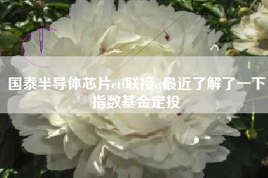 国泰半导体芯片etf联接c,最近了解了一下指数基金定投
