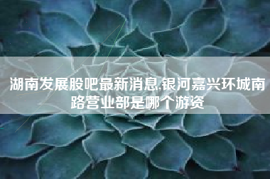 湖南发展股吧最新消息,银河嘉兴环城南路营业部是哪个游资