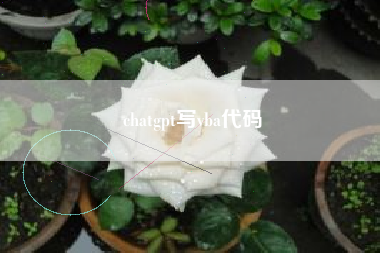 chatgpt写vba代码