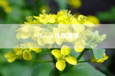 chatgpt月底清零