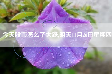 今天股市怎么了大跌,明天11月26日星期四