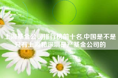 上海基金公司排行榜前十名,中国是不是只有上海和深圳是产基金公司的