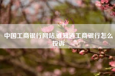 中国工商银行网站,谁知道工商银行怎么投诉