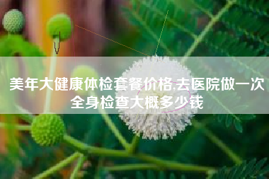 美年大健康体检套餐价格,去医院做一次全身检查大概多少钱