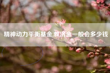精神动力平衡基金,救济金一般会多少钱