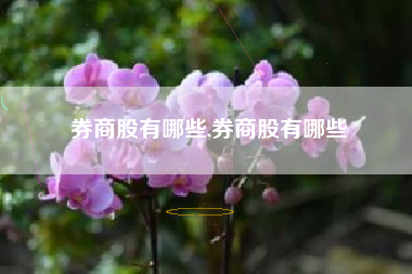 券商股有哪些,券商股有哪些
