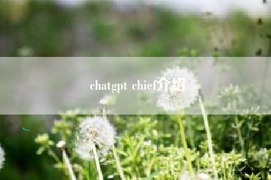 chatgpt chief介绍