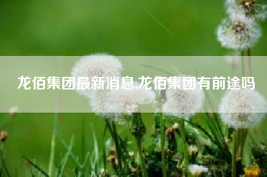 龙佰集团最新消息,龙佰集团有前途吗