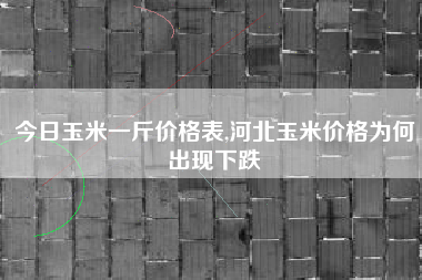 今日玉米一斤价格表,河北玉米价格为何出现下跌